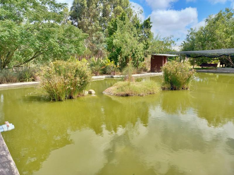 7 Bedroom Property for Sale in Dassenberg Western Cape
